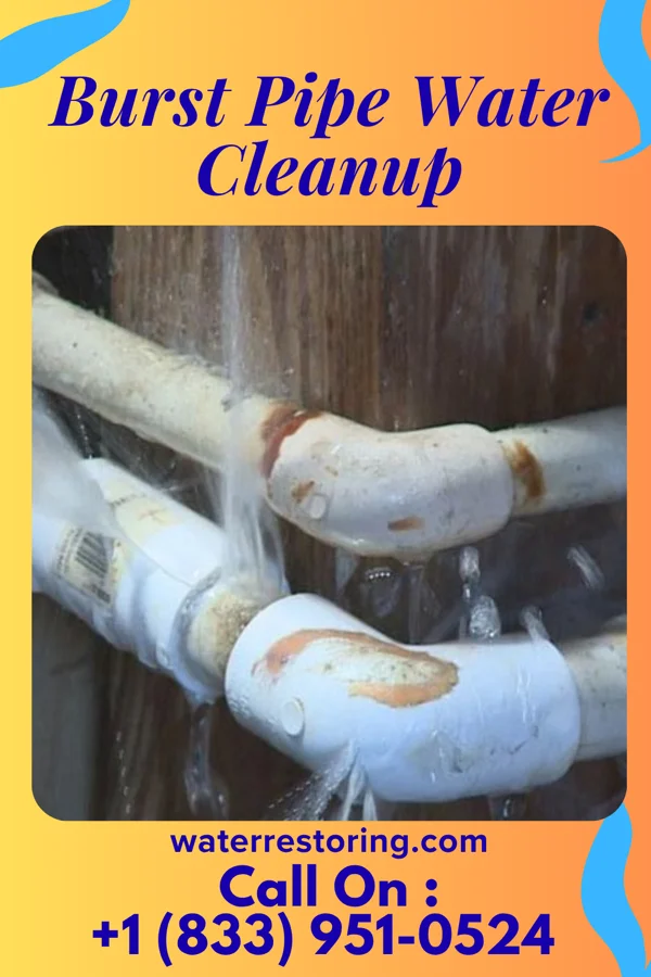 Burst Pipe Water Cleanup in Waynesboro, TN