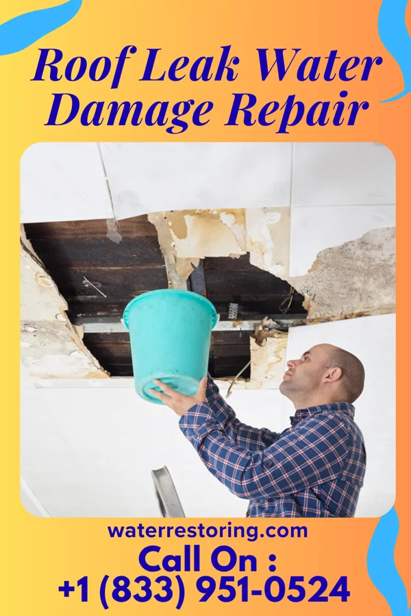Roof Leak Water Damage Repair in Waynesboro, TN